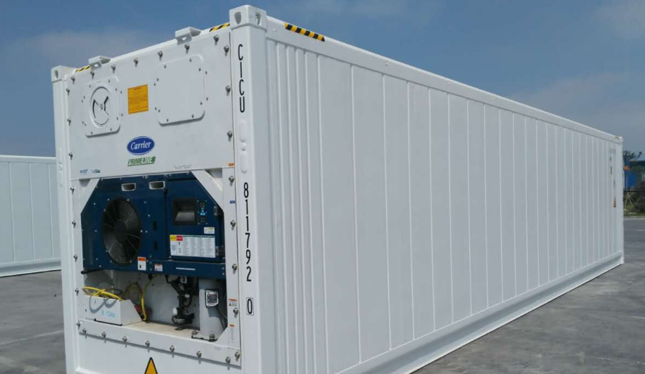 VẬN CHUYỂN CÁ BASA BẰNG CONT LẠNH TỪ AN GIANG ĐẾN HÀ NỘI BẰNG CONT LẠNH 2025
