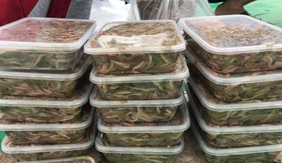 VẬN CHUYỂN RƯƠI TỪ HẢI PHÒNG ĐẾN THÀNH PHỐ HỒ CHÍ MÌNH BẰNG CONT LẠNH 2025
