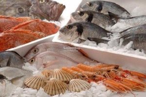 Tuyến lạnh xuyên Việt: Vận chuyển hải sản đông lạnh từ Sài Gòn ra Hà Nội