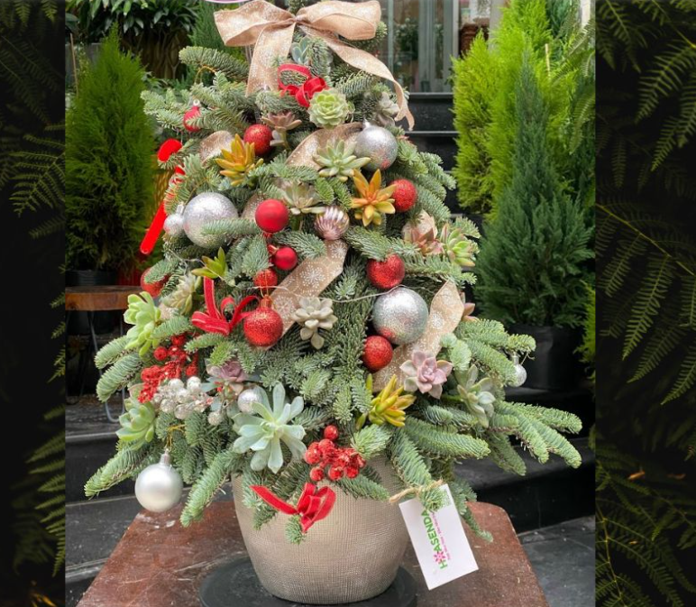 VẬN CHUYỂN CÂY THÔNG NOEL ĐỂ BÀN TỪ HÀ NÔI ĐẾN VINH NHANH CHÓNG 2025