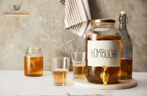 Vận chuyển kombucha bằng xe lạnh HCM – Hà Nội: An toàn, nhanh chóng