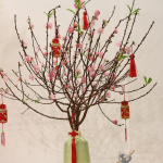 Tăng tốc vận chuyển hoa đào Tết bằng container: Hà Nội – TP.HCM cao điểm cuối năm