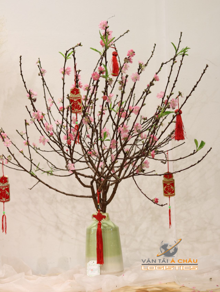 Tăng tốc vận chuyển hoa đào Tết bằng container: Hà Nội – TP.HCM cao điểm cuối năm