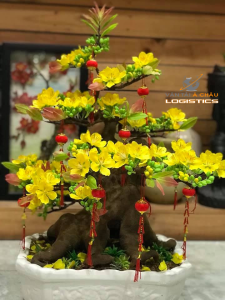 Vận chuyển hoa mai từ TP. Hồ Chí Minh ra Hà Nội - Vận chuyển hàng cont cảng từ HCM đi các tỉnh và ngược lại