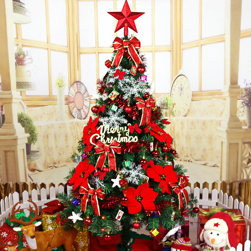 Chuyên vận chuyển quà Giáng Sinh, túi quà, cây thông, đồ trang trí Noel từ HCM
