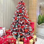 Vận Chuyển Cây Thông Noel Từ Hà Nội Đến Ninh Bình Nhanh Chóng 2025