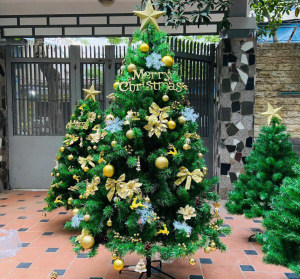 Vận Chuyển Cây Thông Noel Từ Hà Nội Đến Ninh Bình Nhanh Chóng 2025