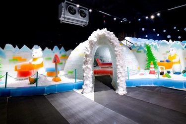 Dịch Vụ Vận Chuyển Container Nhà Tuyết Noel Từ HCM Đi Hà Nội [Chuyên Nghiệp & An Toàn]