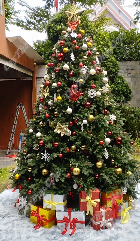 Dịch Vụ Vận Chuyển Container Cây Thông Noel Từ HCM Đi Đà Lạt [Chuyên Nghiệp & An Toàn]