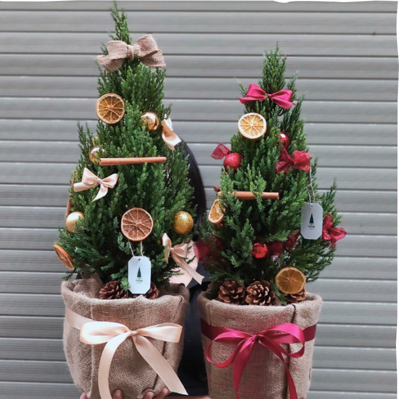 Vận Chuyển Hoa Giáng Sinh – Giải Pháp Logistics Chuyên Nghiệp Cho Mùa Noel Và Tết Cuối Năm