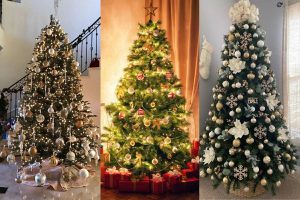 Dịch vụ vận chuyển cây thông Noel đi các tỉnh giá rẻ