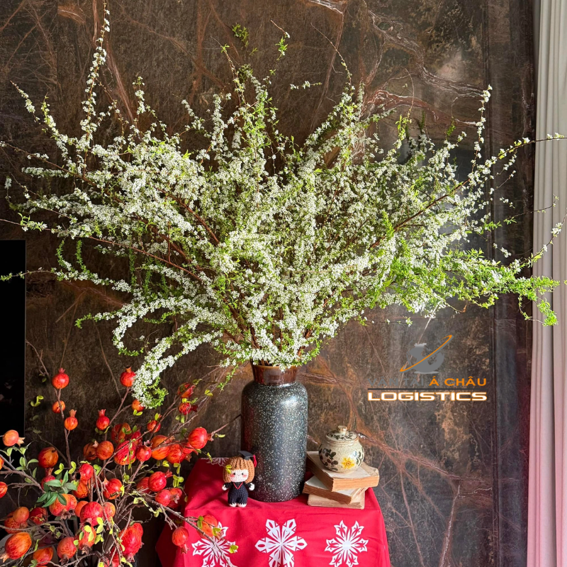 Vận Chuyển Hoa Tuyết Mai Từ Hà Nội Vào Hồ Chí Minh: Giải Pháp Hiệu Quả Cho Mùa Tết