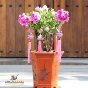 DỊCH VỤ VẬN CHUYỂN HOA TẾT – HOA MẪU ĐƠN VÀ VẬN CHUYỂN HÀNG CONTAINER TỪ CẢNG TP.HCM ĐI CÁC TỈNH HCM, HÀ NỘI, ĐÀ NẴNG