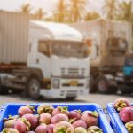 Dịch vụ vận chuyển trái cây cấp đông từ miền Tây đi TP.HCM và các tỉnh lân cận
