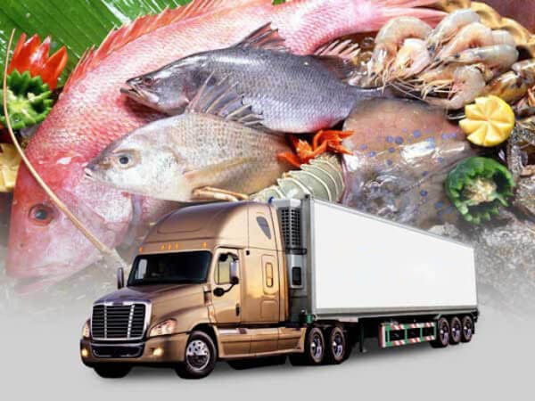 Vận chuyển thực phẩm đông lạnh phục vụ Tết từ miền Tây đi Hà Nội Vận chuyển thực phẩm đông lạnh phục vụ Tết từ miền Tây đi Hà Nội