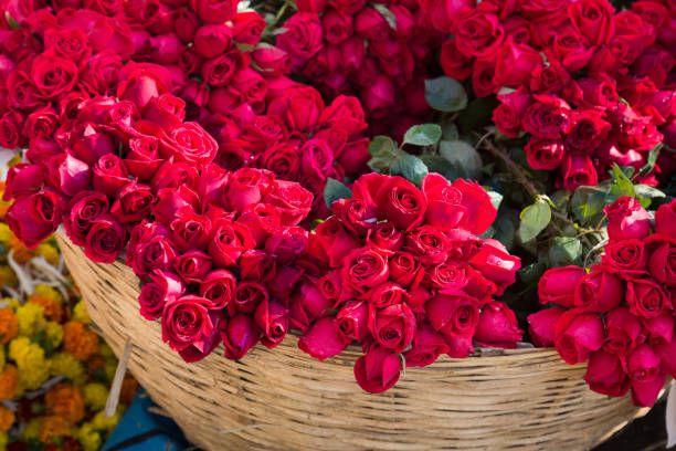 Vận Chuyển Hoa Tươi Cắt Cành Dịp Tết Bằng Container Lạnh | Giữ Hương Sắc Nguyên Vẹn