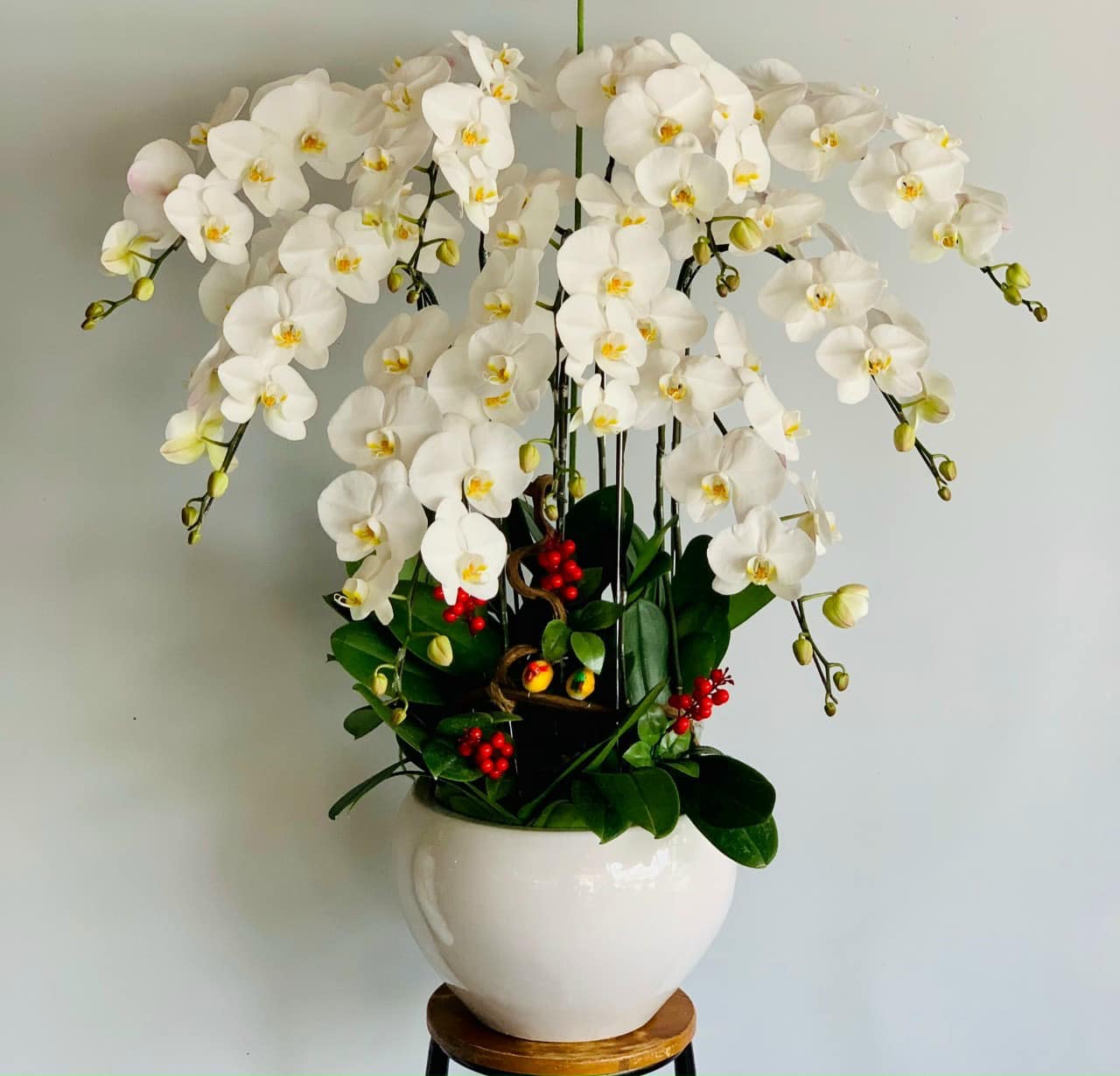  Vận Chuyển Hoa Lan Tết Cao Cấp Bằng Container | Giải Pháp An Toàn Tuyệt Đối