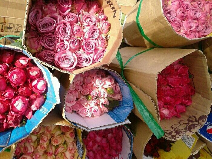 Vận Chuyển Hoa Tươi Cắt Cành Dịp Tết Bằng Container Lạnh | Giữ Hương Sắc Nguyên Vẹn