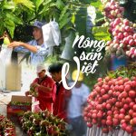 Vận chuyển container hàng nông sản từ Cần Thơ đi các tỉnh miền Trung và ngược lại