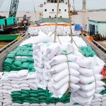 Vận chuyển gạo đóng bao phục vụ Tết từ An Giang, Đồng Tháp đi TP.HCM