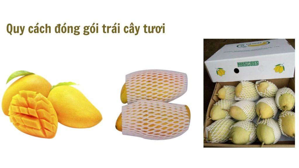 Vận chuyển trái cây chưng Tết từ Tiền Giang, Bến Tre đi Hà Nội