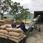 Vận chuyển container hàng cà phê từ Đắk Lắk đi TP.HCM và ngược lại ổn định và đúng tiến độ