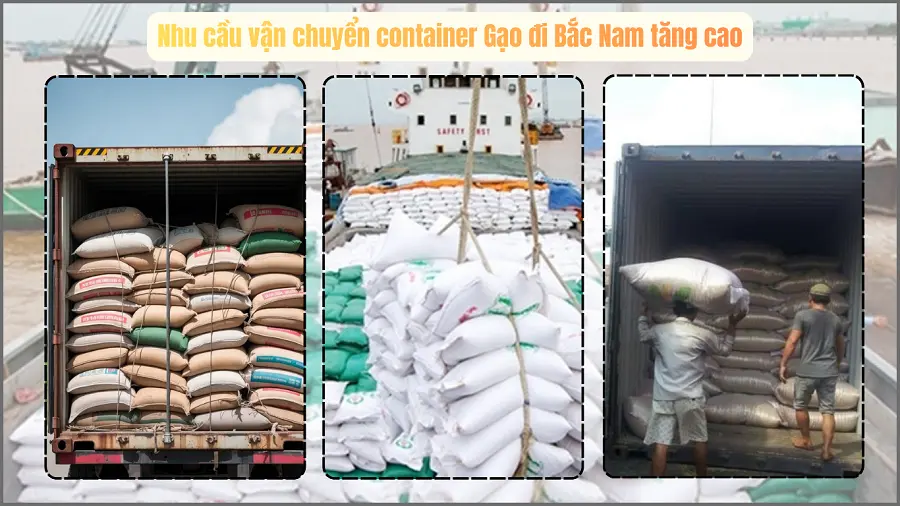 Vận chuyển gạo đóng bao phục vụ Tết từ An Giang, Đồng Tháp đi TP.HCM Vận chuyển gạo đóng bao phục vụ Tết từ An Giang, Đồng Tháp đi TP.HCM