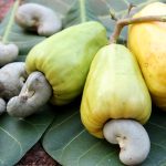 Dịch vụ vận chuyển hàng lẻ và ghép hạt điều từ Bình Phước đi các tỉnh miền Bắc