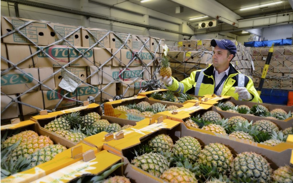 Dịch vụ vận chuyển hàng lẻ và ghép trái cây từ Tiền Giang đi các tỉnh Miền Bắc nhanh chóng, an toàn Dịch vụ vận chuyển hàng lẻ và ghép trái cây từ Tiền Giang đi các tỉnh Miền Bắc nhanh chóng, an toàn