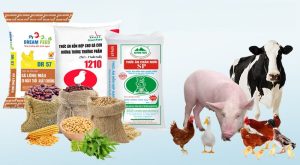 Dịch vụ vận chuyển hàng lẻ và ghép thức ăn chăn nuôi từ Đồng Nai đi các tỉnh Miền Trung