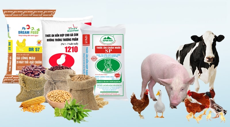 Dịch vụ vận chuyển hàng lẻ và ghép thức ăn chăn nuôi từ Đồng Nai đi các tỉnh Miền Trung Dịch vụ vận chuyển hàng lẻ và ghép thức ăn chăn nuôi từ Đồng Nai đi các tỉnh Miền Trung