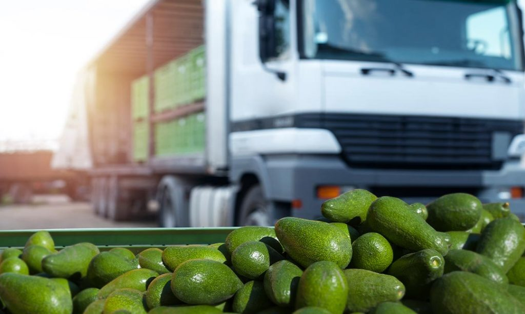 Dịch vụ vận chuyển hàng lẻ và ghép trái cây từ Tiền Giang đi các tỉnh Miền Bắc nhanh chóng, an toàn Dịch vụ vận chuyển hàng lẻ và ghép trái cây từ Tiền Giang đi các tỉnh Miền Bắc nhanh chóng, an toàn