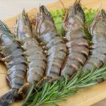 Vận chuyển tôm sú đông lạnh Cà Mau đi Hà Nội bằng xe lạnh giữ chuẩn -18°C