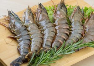 Vận chuyển tôm sú đông lạnh Cà Mau đi Hà Nội bằng xe lạnh giữ chuẩn -18°C