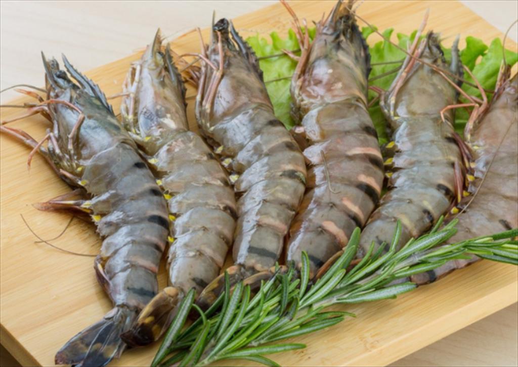 Vận chuyển tôm sú đông lạnh Cà Mau đi Hà Nội bằng xe lạnh giữ chuẩn -18°C