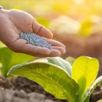 Vận chuyển phân bón từ Bình Dương đi Đắk Lắk nhanh chóng, an toàn, giá cạnh tranh