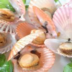 Vận chuyển sò điệp tách vỏ đông lạnh Quảng Ninh đi TP.HCM