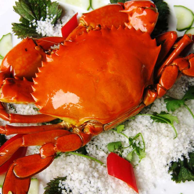 Vận chuyển cua biển sống từ Cà Mau đi Hà Nội