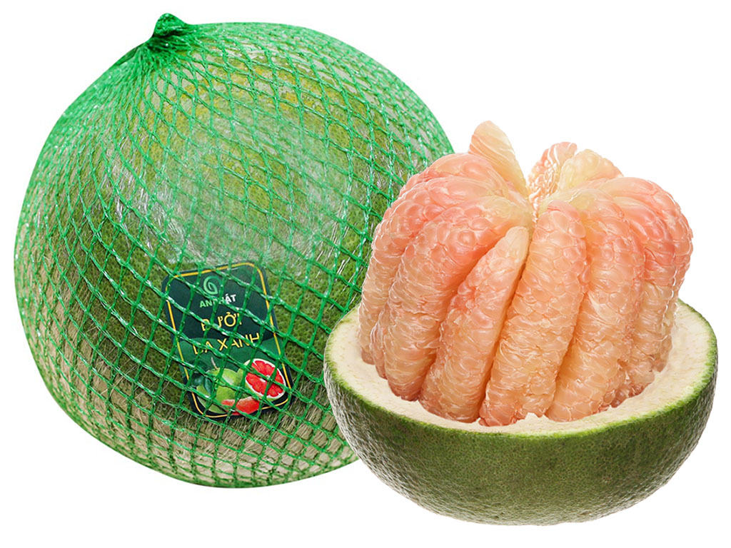 Vận chuyển bưởi da xanh từ Bến Tre đi Hà Nội chống dập vỏ