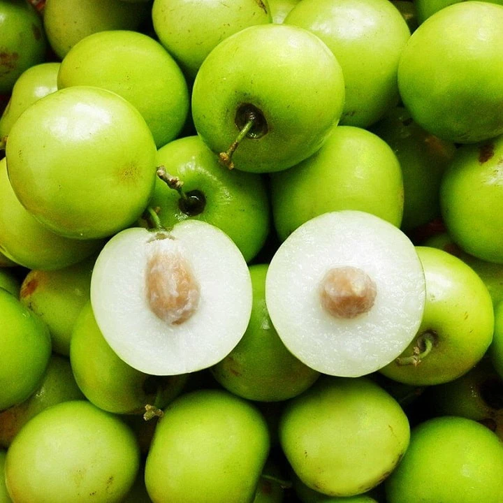 Vận chuyển táo xanh Ninh Thuận đi Hà Nội số lượng lớn