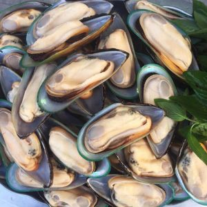 Vận Chuyển Vẹm Xanh Đông Lạnh Từ Khánh Hòa Đi Cảng